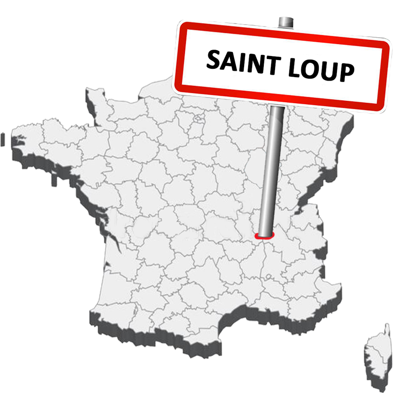 Agent immobilier Saint-Loup
